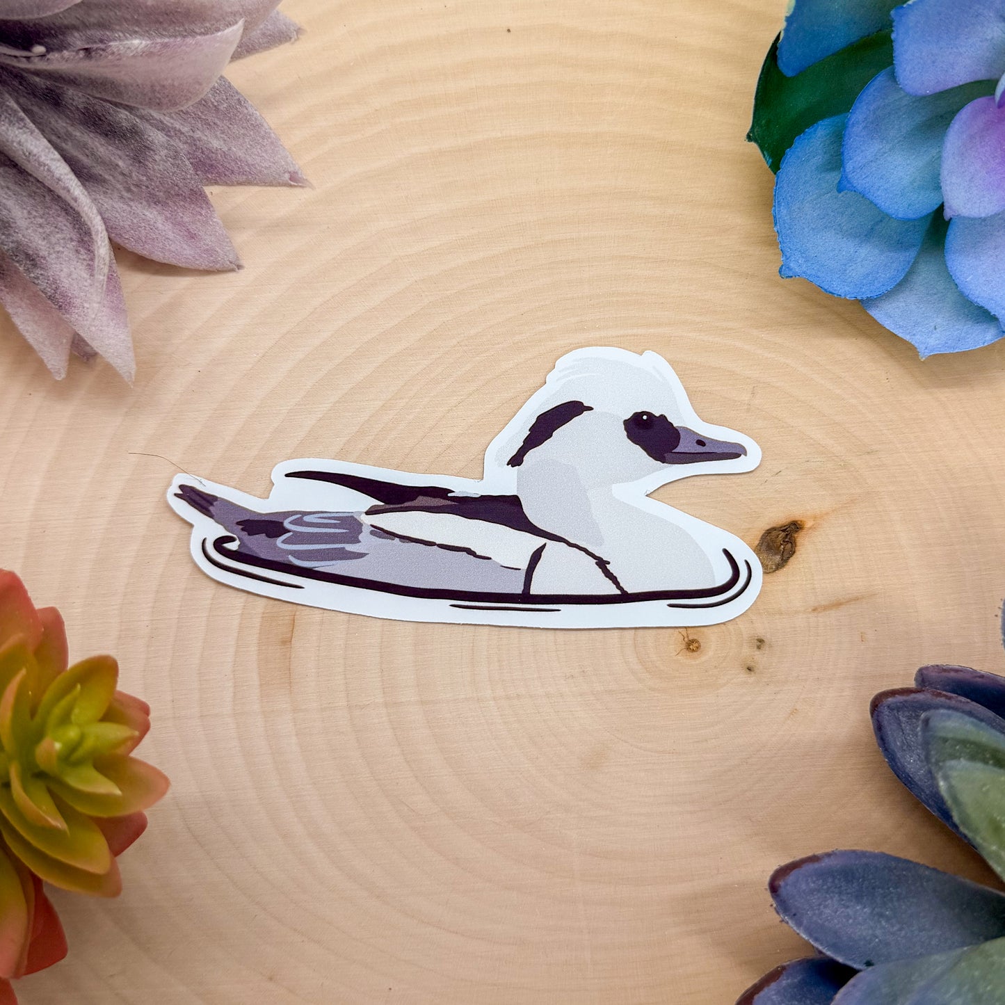 Smew Sticker
