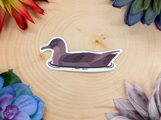 Sooty Shearwater Sticker