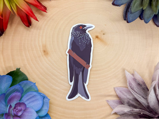 Spangled Drongo Sticker