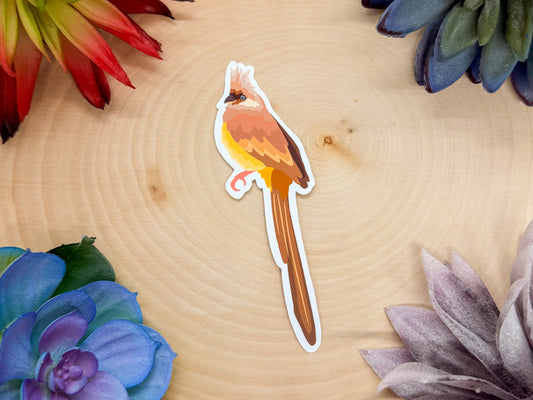 Speckled Mousebird Sticker