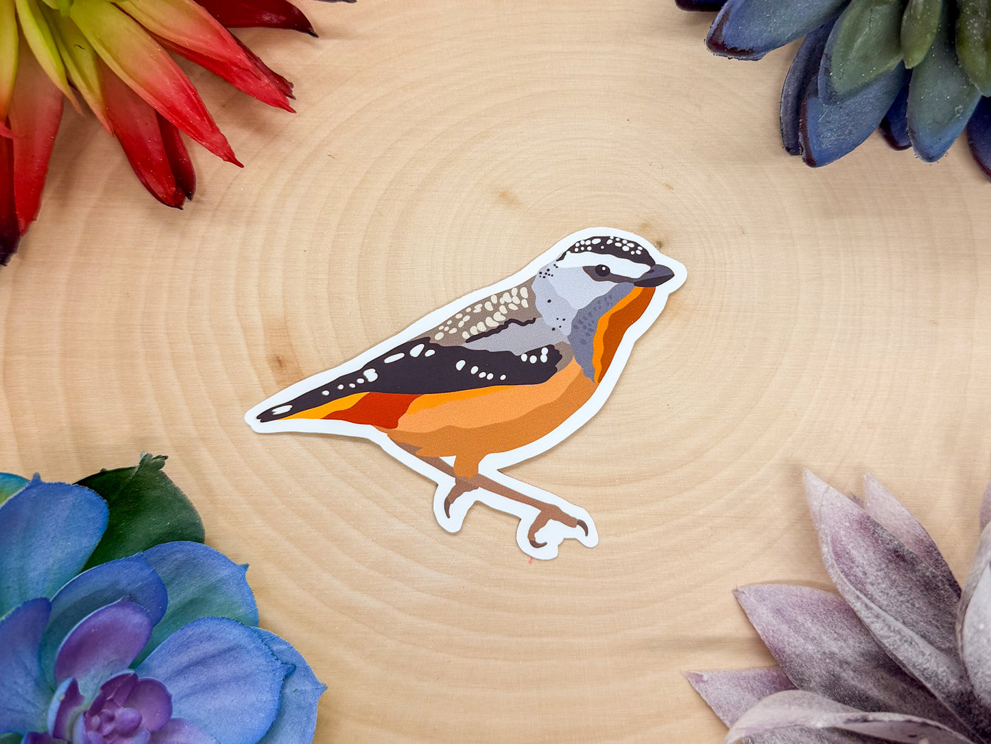 Spotted Pardalote Sticker