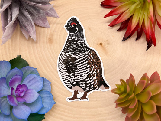 Spruce Grouse Sticker