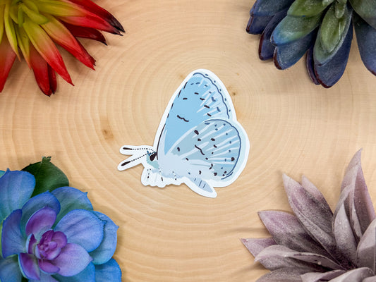 Summer Azure Sticker