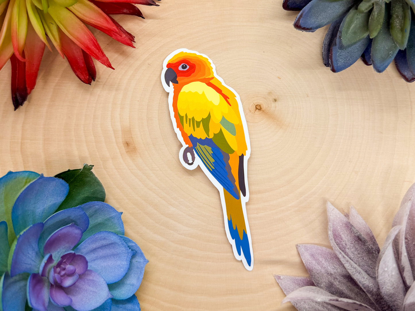 Sun Conure Sticker