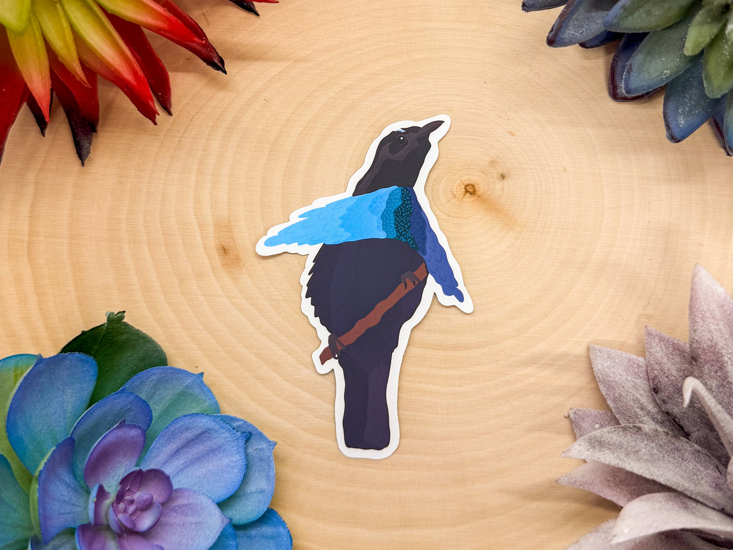 Superb Bird Of Paradise Sticker