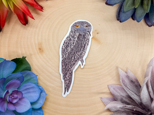 Tawny Frogmouth Sticker