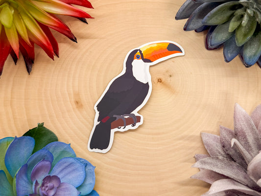 Toco Toucan Sticker