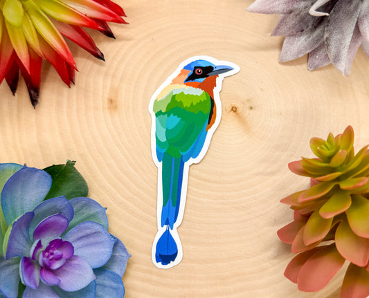 Trinidad Motmot Sticker