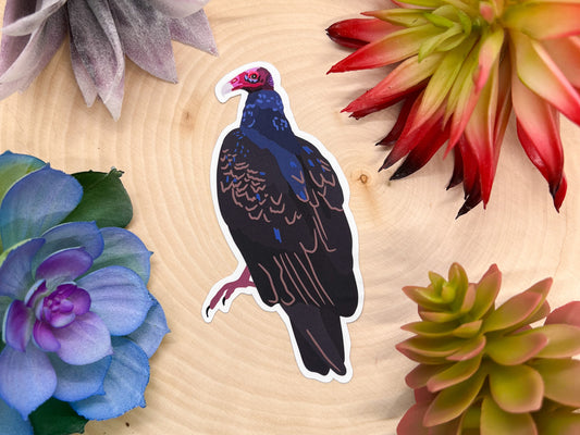 Turkey Vulture Sticker