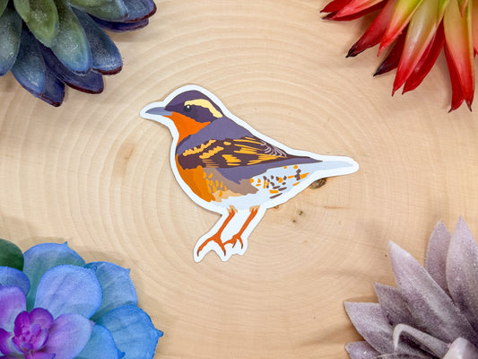 Varied Thrush Sticker