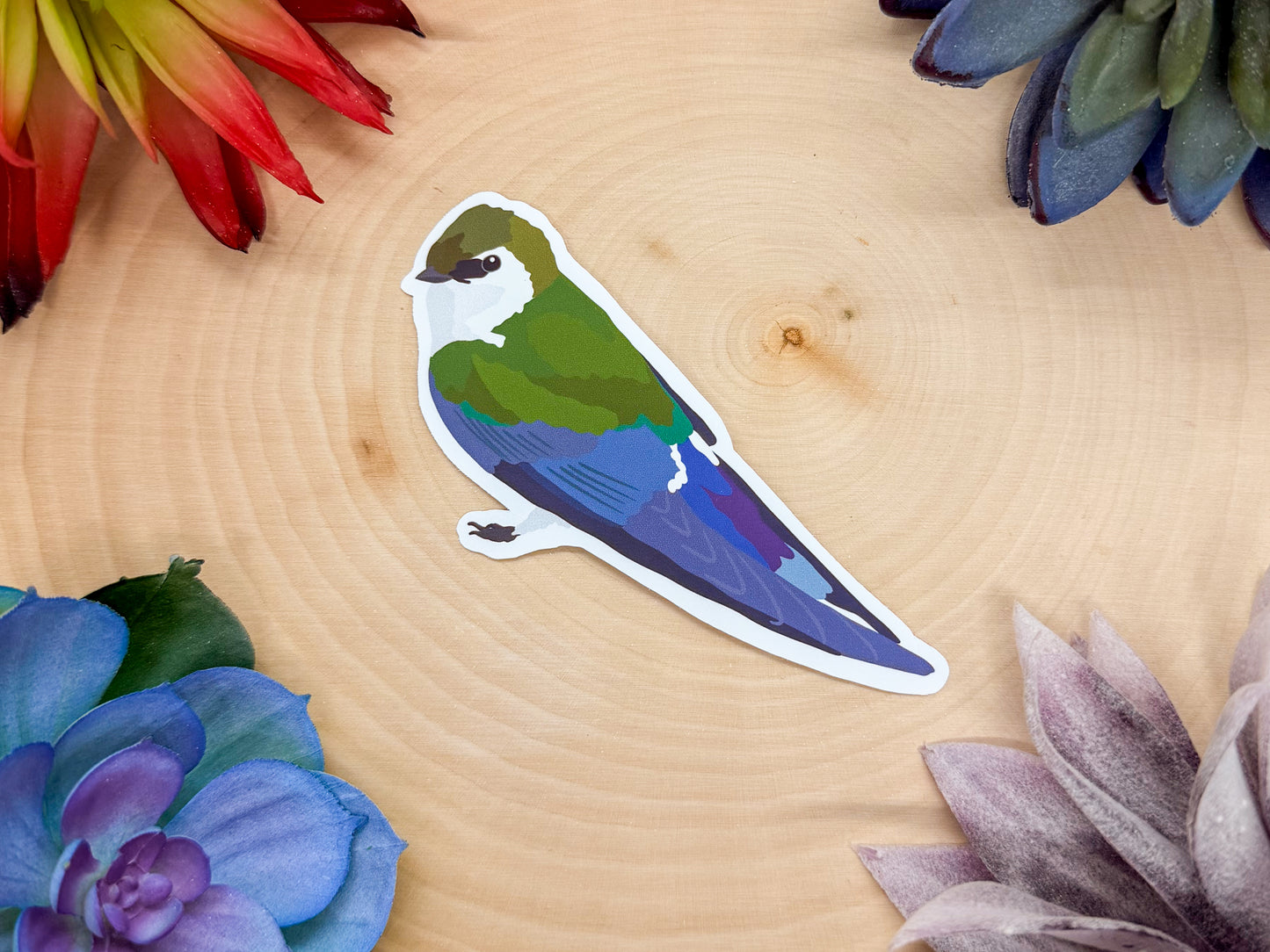 Violet Green Swallow Sticker