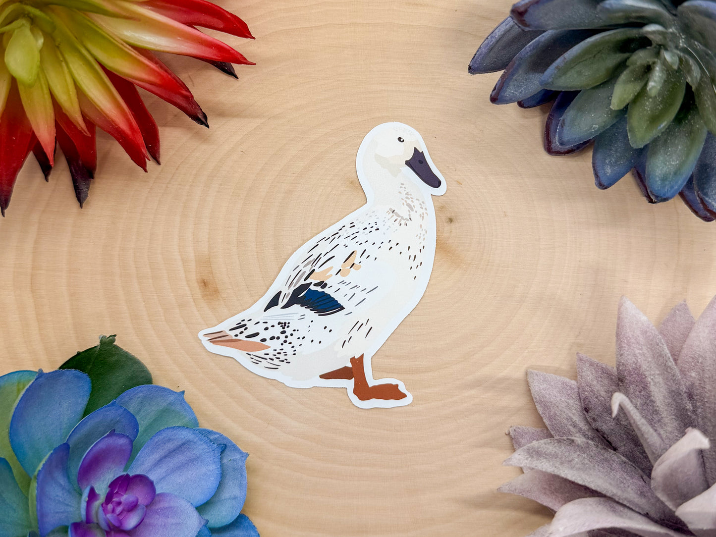 Welsh Harlequin Duck Sticker