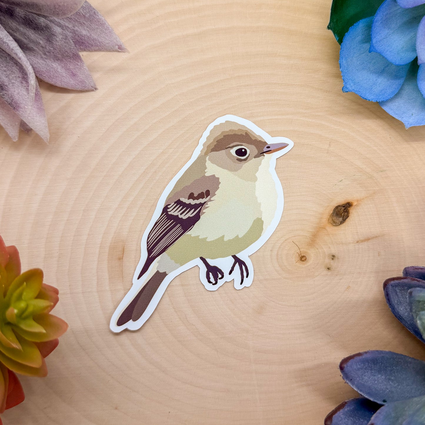 Western Flycatcher Sticker