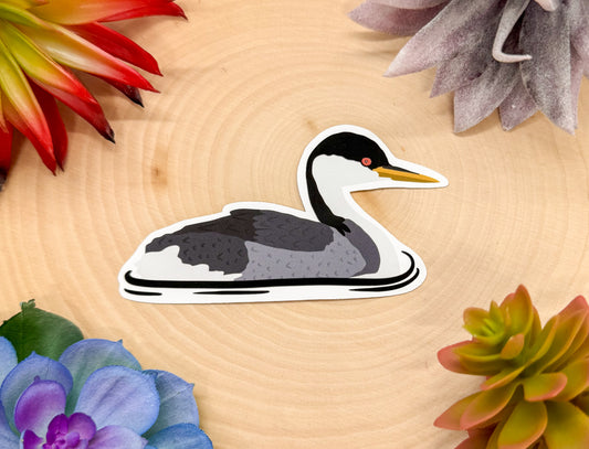 Western Grebe Sticker