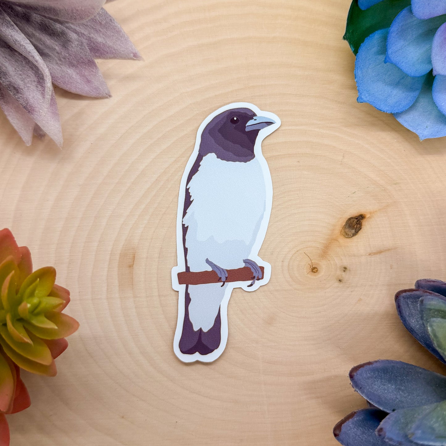White Breasted Wood Swallow Sticker