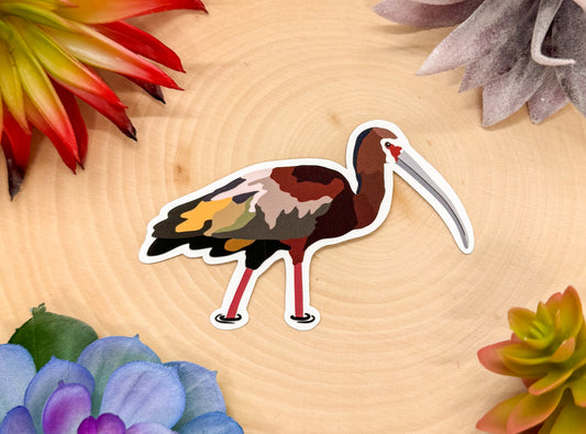 White Faced Ibis Sticker