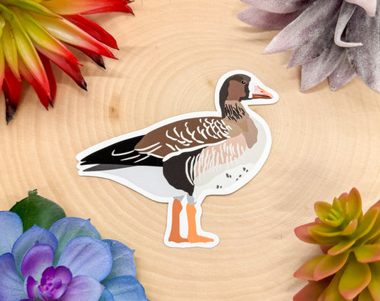 Greater White Fronted Goose Sticker