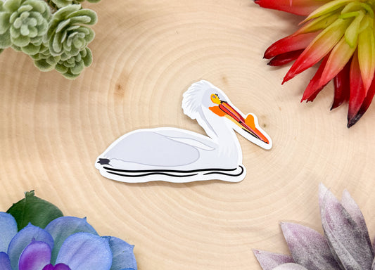 American White Pelican Sticker