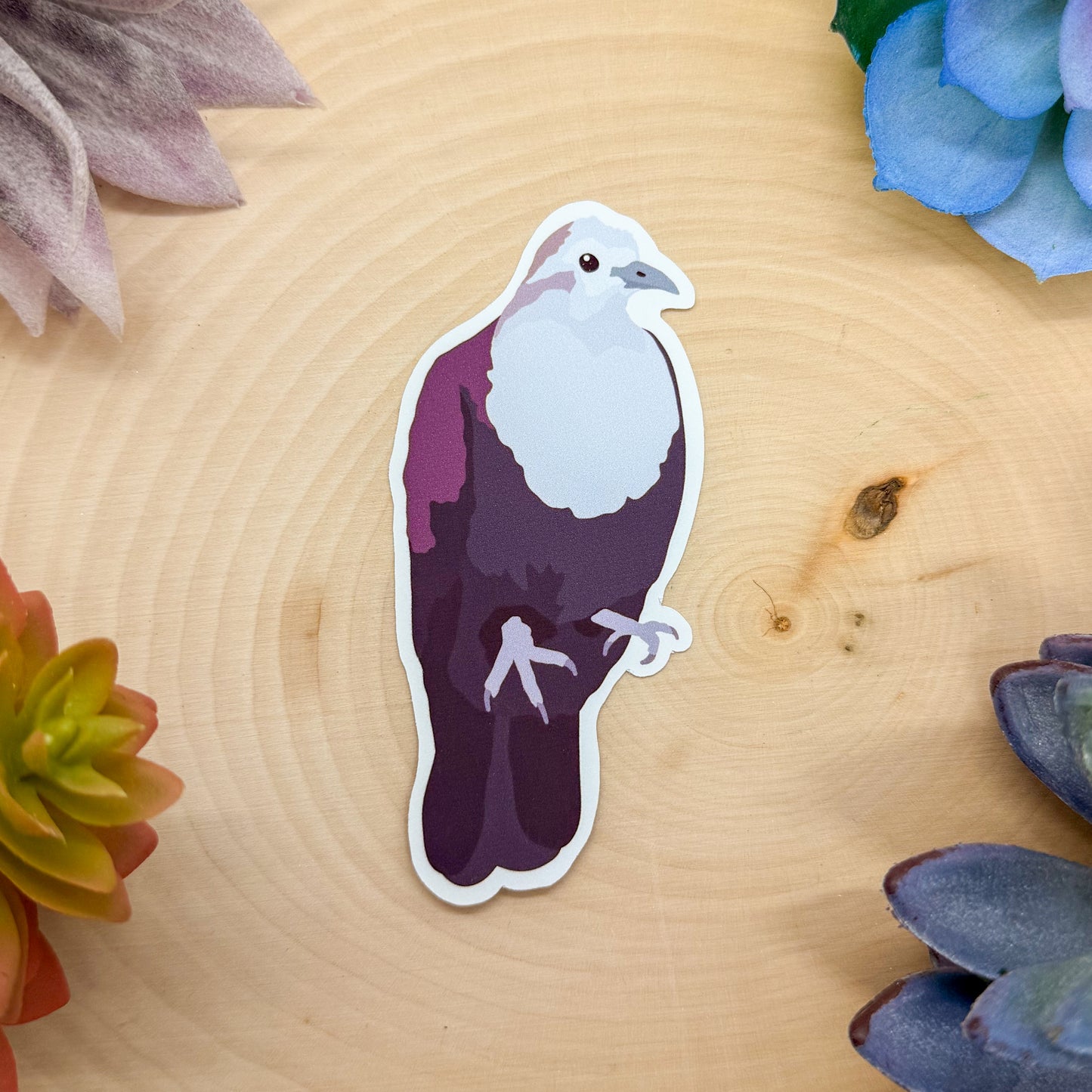 White Throated Ground Dove Sticker