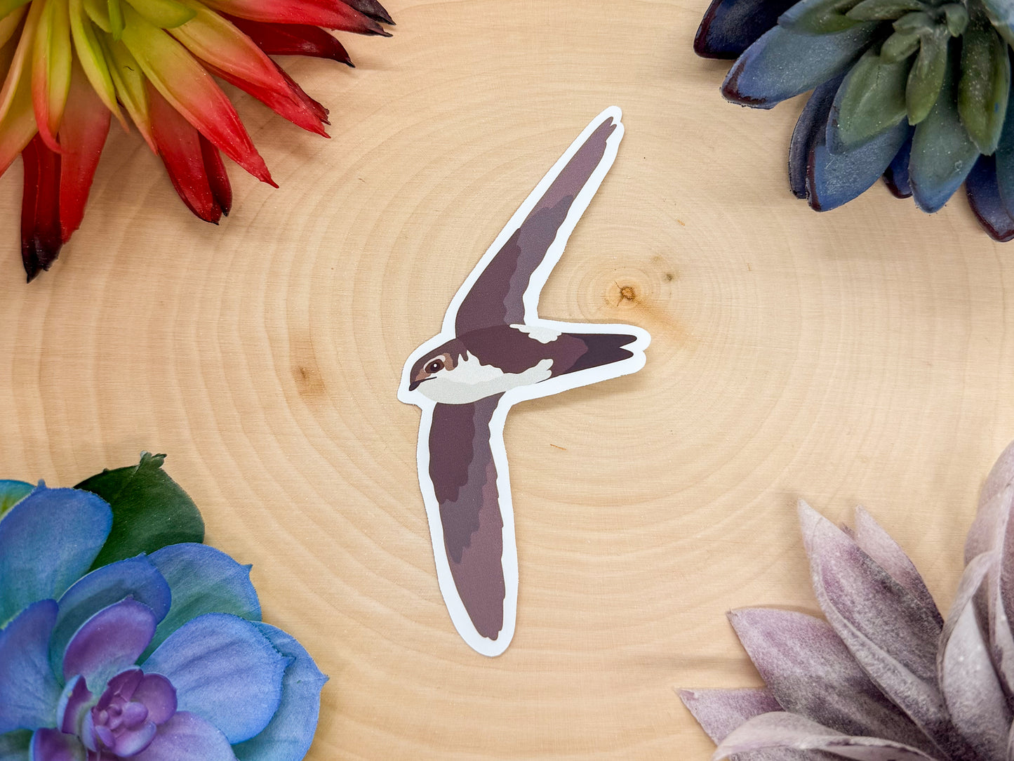 White Throated Swift Sticker