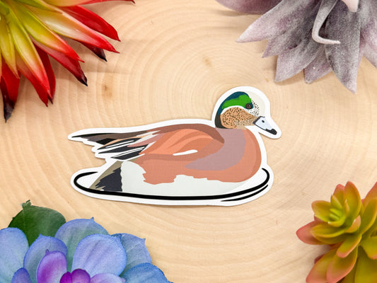 American Wigeon Sticker