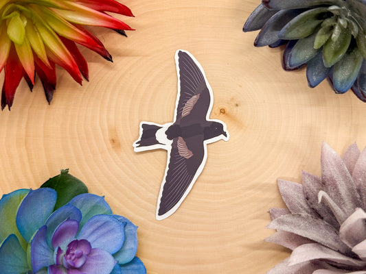 Wilsons Storm Petrel Sticker