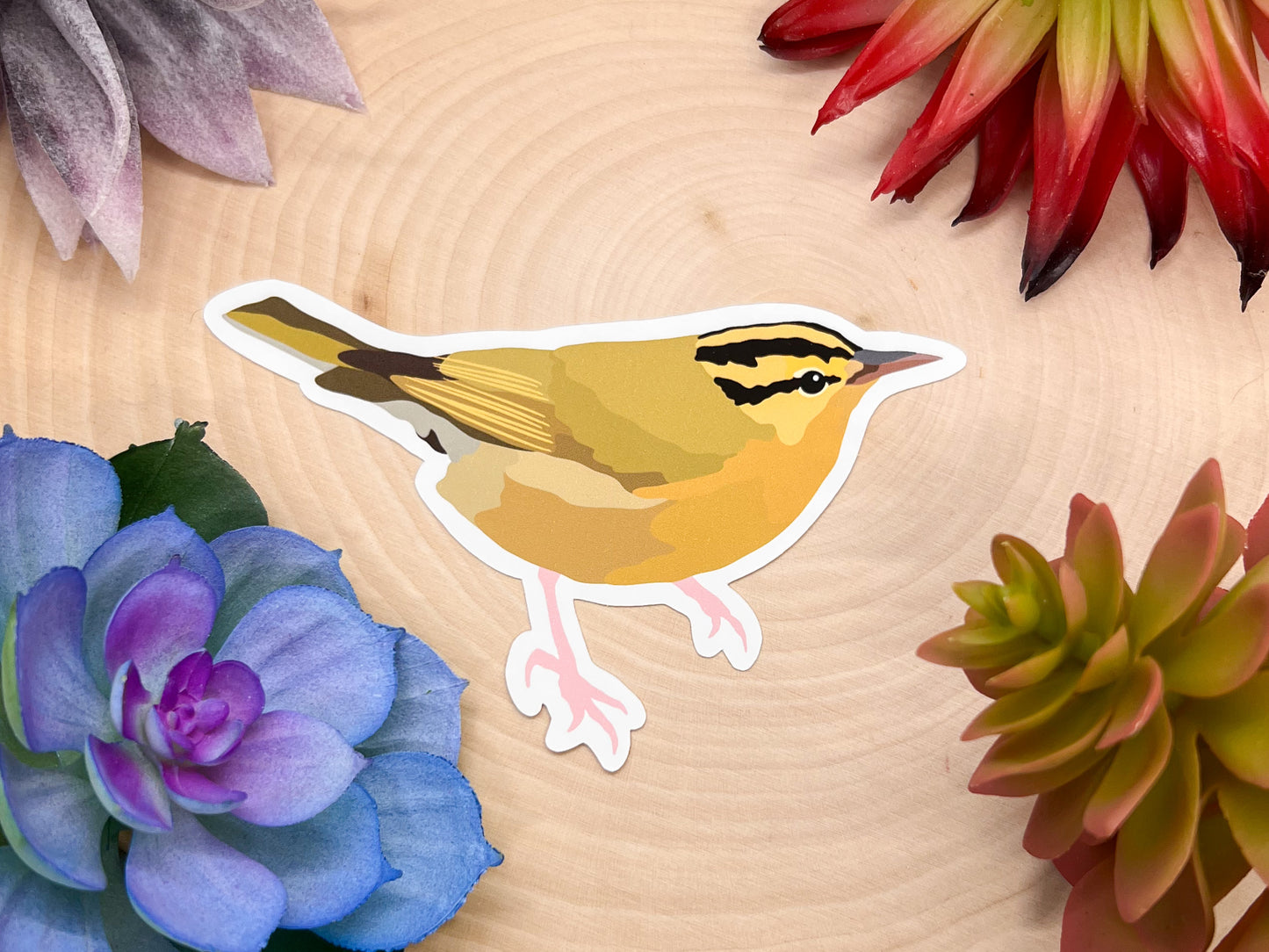 Worm Eating Warbler Sticker