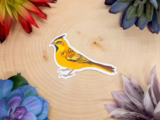 Yellow Cardinal Sticker