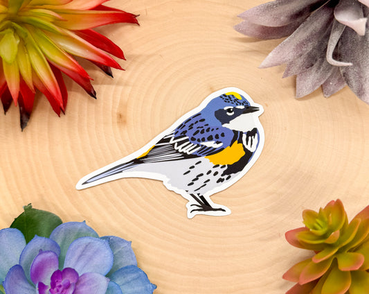 Yellow Rumped Warbler Sticker