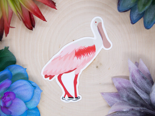 Roseate Spoonbill Sticker