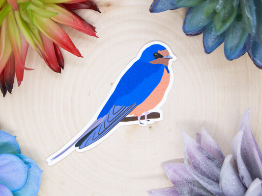 Barn Swallow Sticker