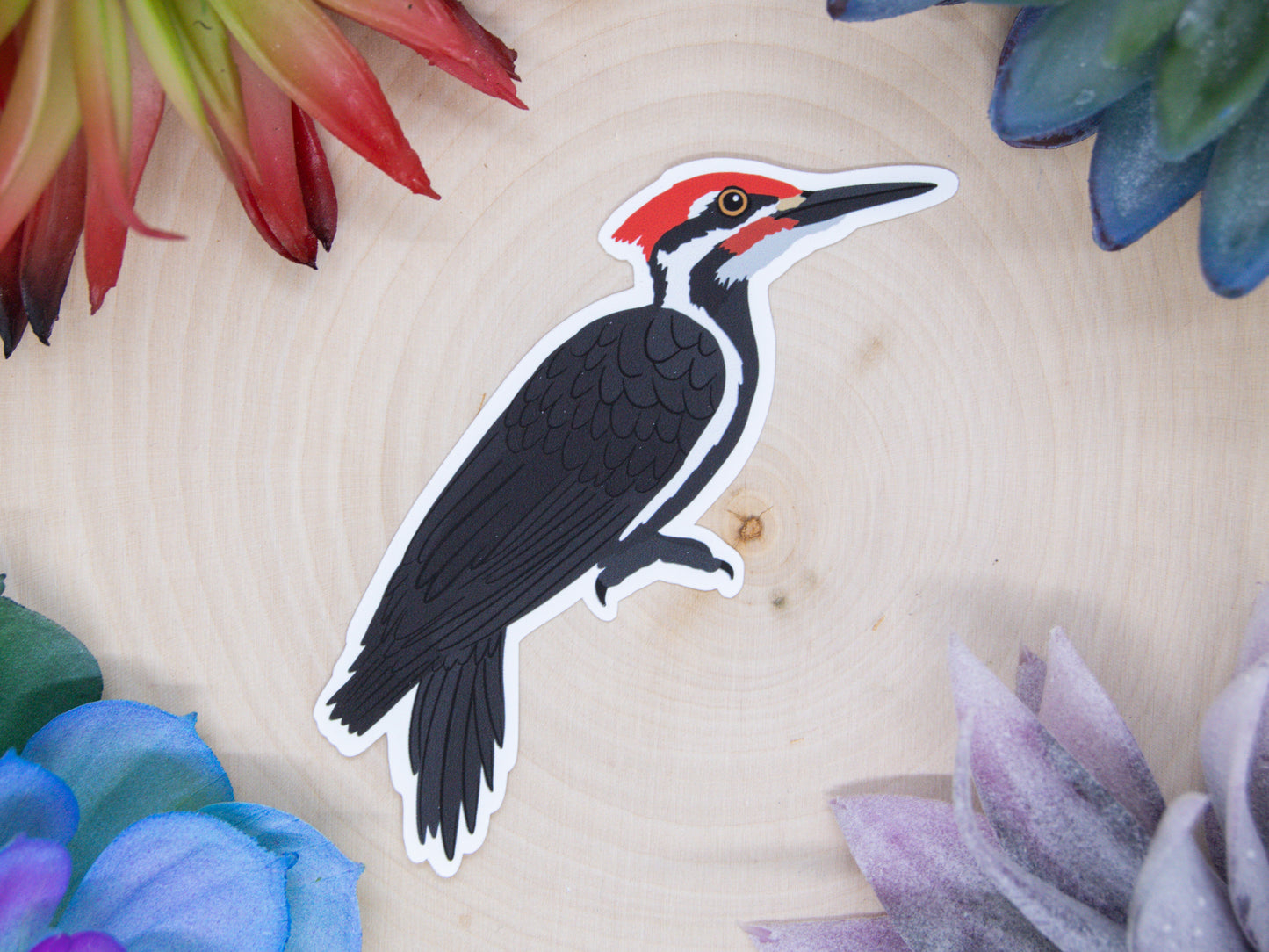 Pileated Woodpecker Sticker