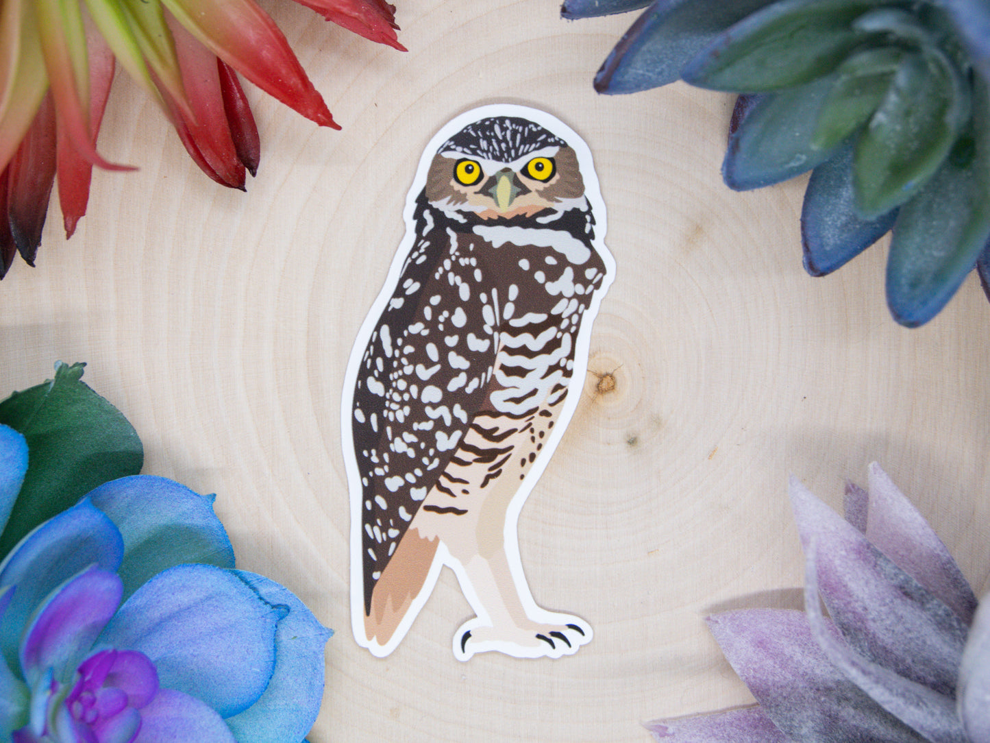 Burrowing Owl Sticker