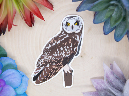 Short Eared Owl Sticker