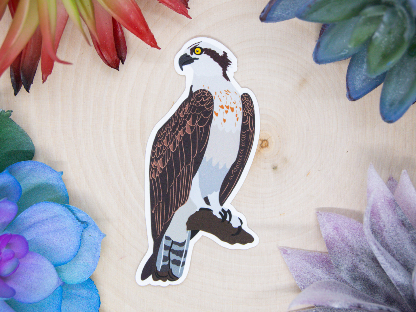 Osprey Sticker