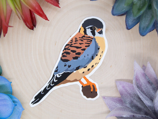 American Kestrel Sticker