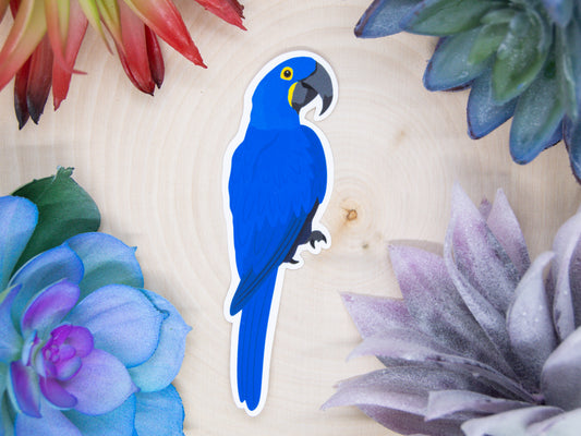 Hyacinth Macaw Sticker