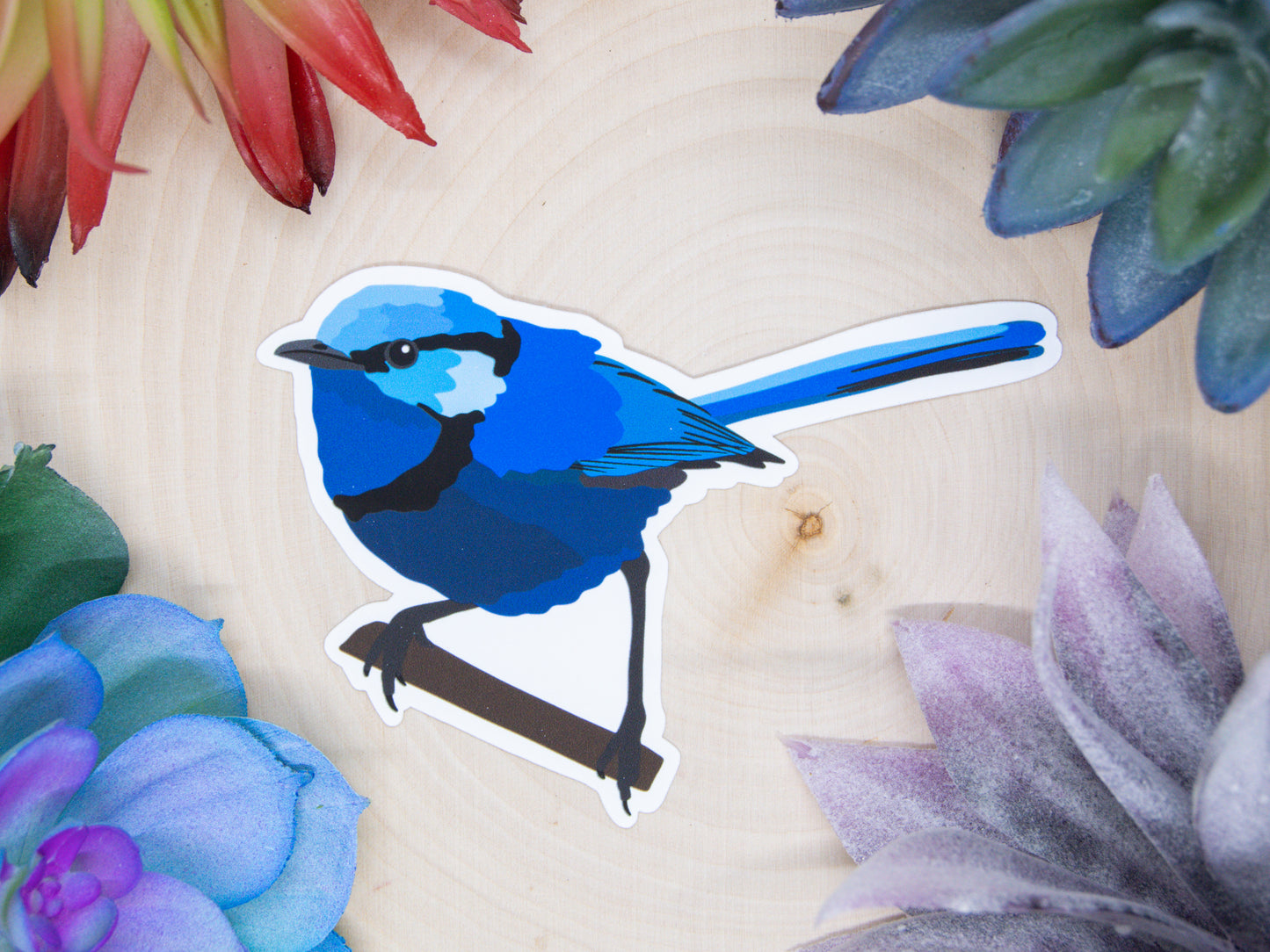 Splendid Fairywren Sticker