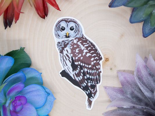 Barred Owl Sticker