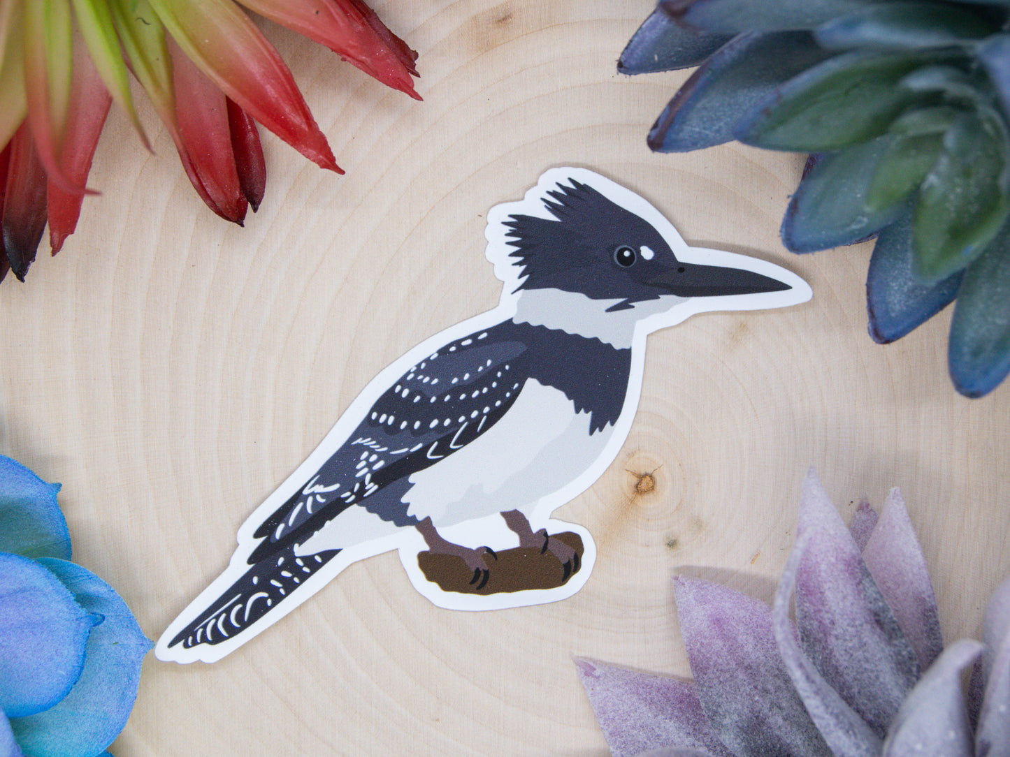 Belted Kingfisher Sticker