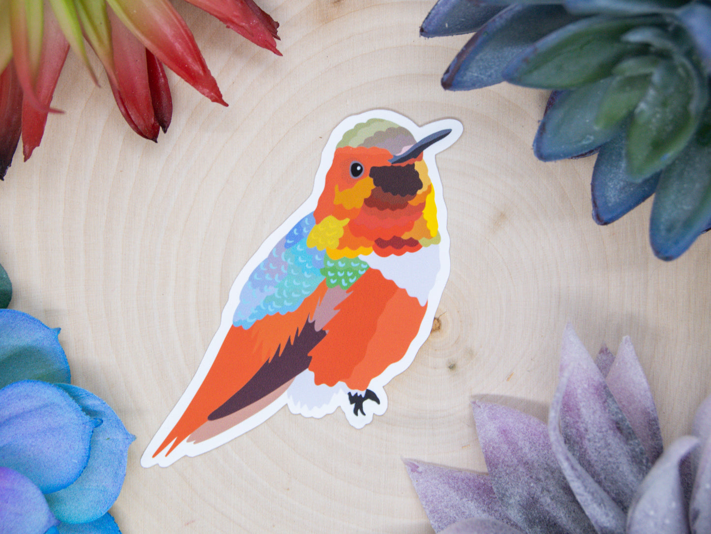 Allen's Hummingbird Sticker