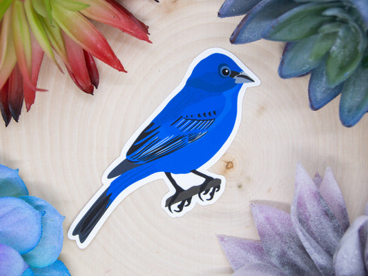 Indigo Bunting Sticker