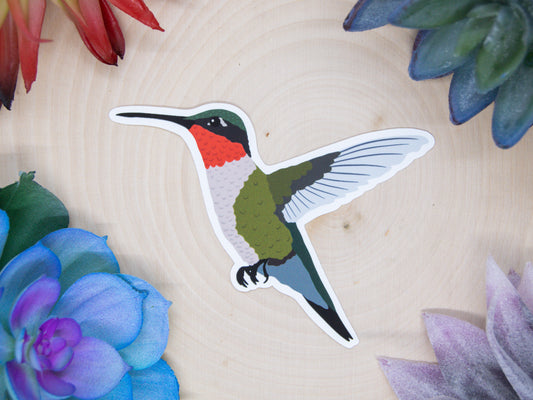 Ruby Throated Hummingbird Sticker