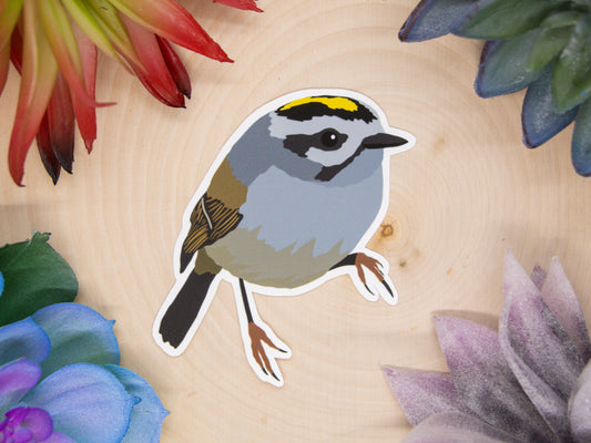 Golden Crowned Kinglet Sticker