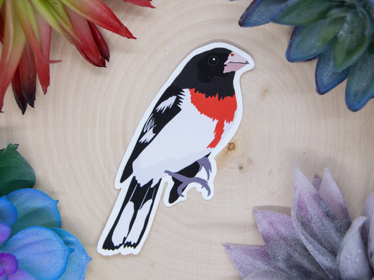 Rose Breasted Grosbeak Sticker