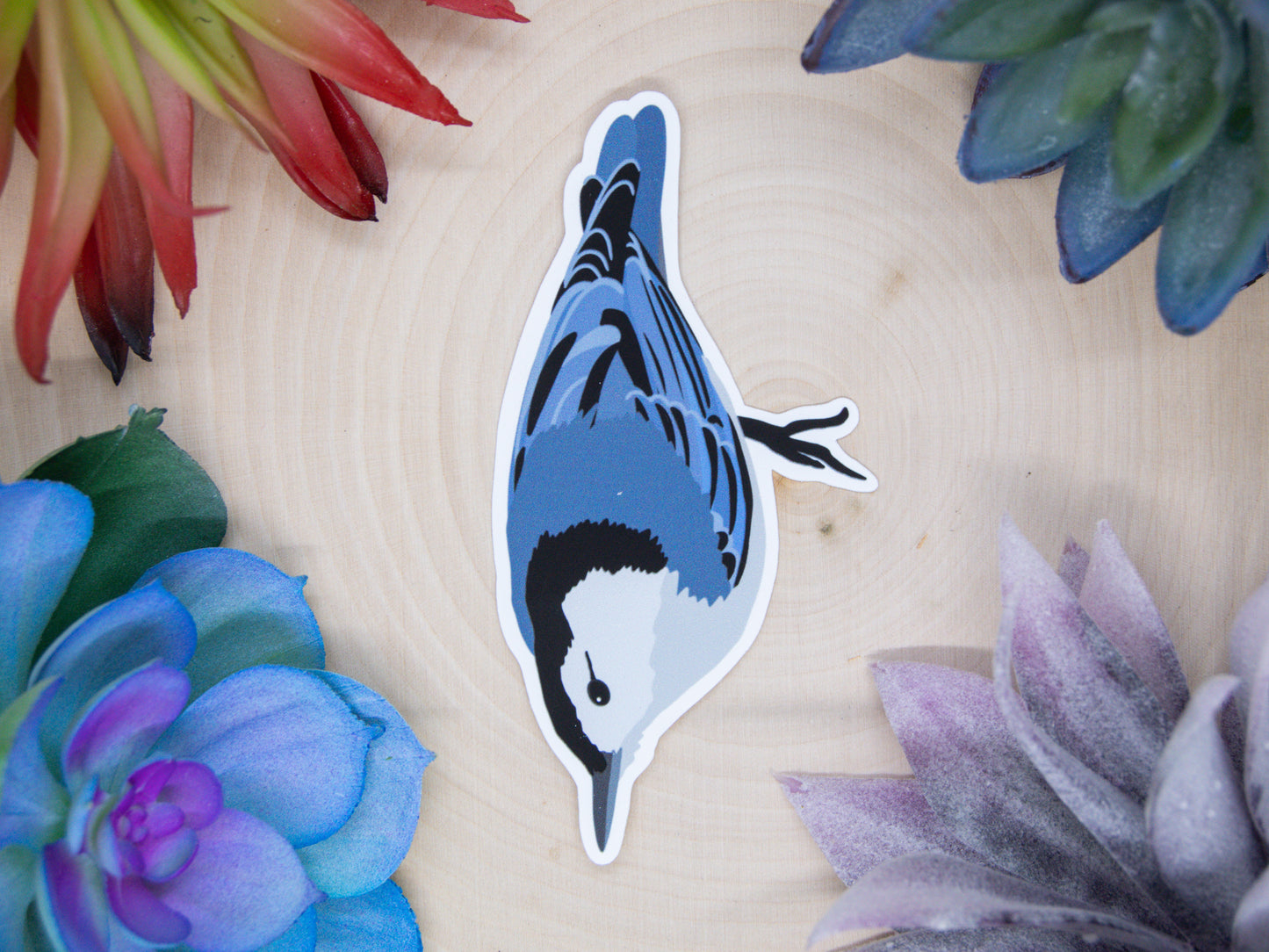 White Breasted Nuthatch Sticker