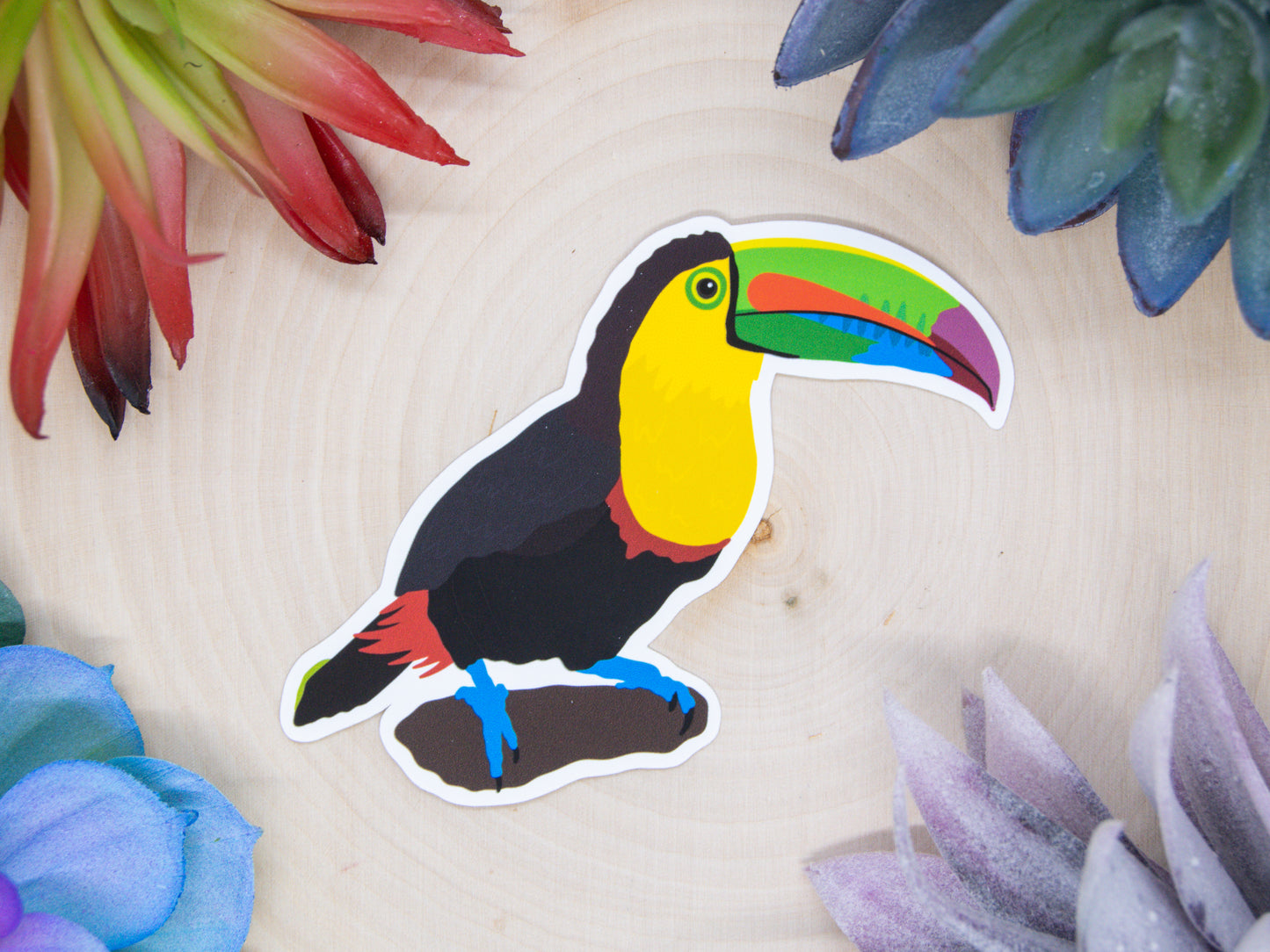 Toucan Sticker