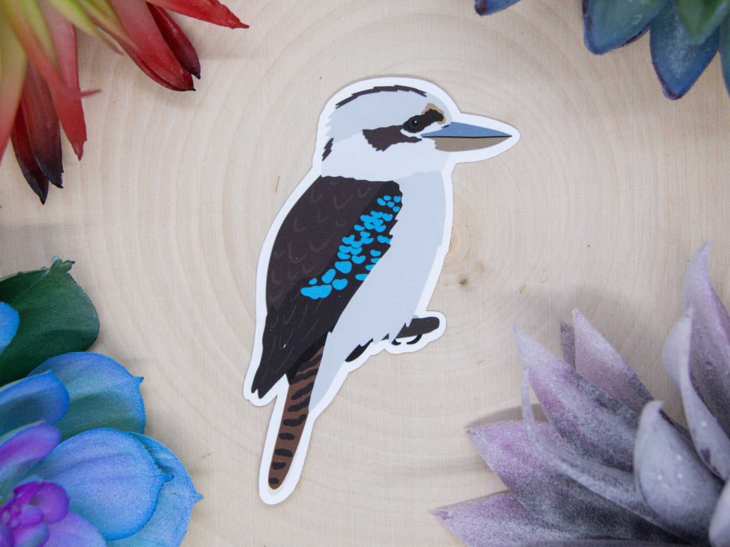 Kookaburra Sticker