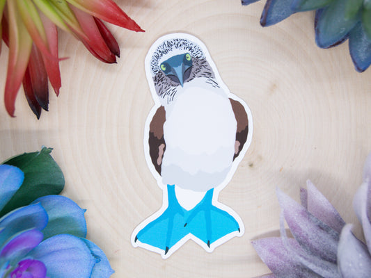 Blue Footed Booby Sticker