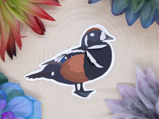 Harlequin Duck Sticker